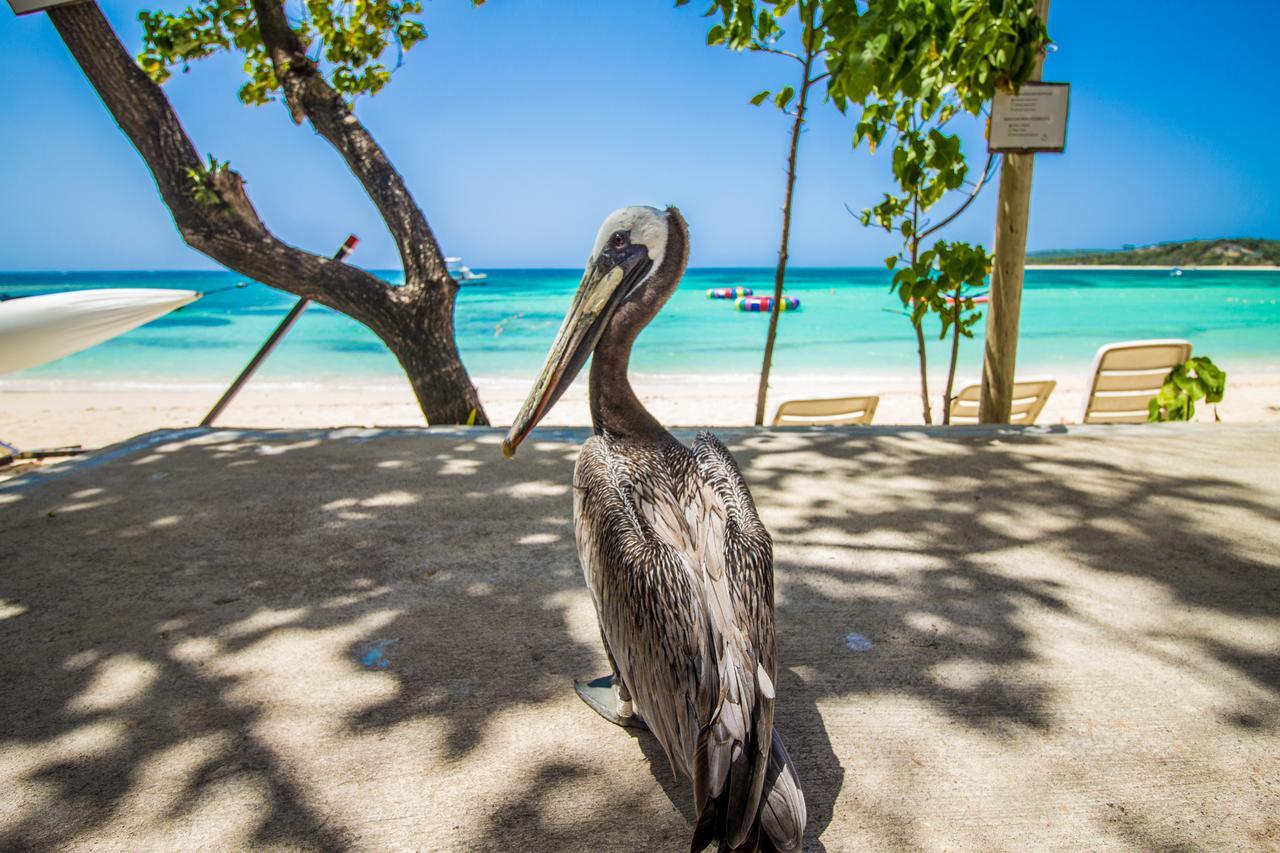 Paradise Island Beach Resort Punta Rucia Zewnętrze zdjęcie